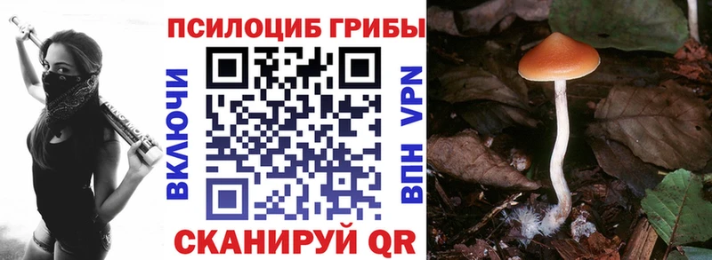купить наркотики цена  Ливны  Псилоцибиновые грибы Magic Shrooms 