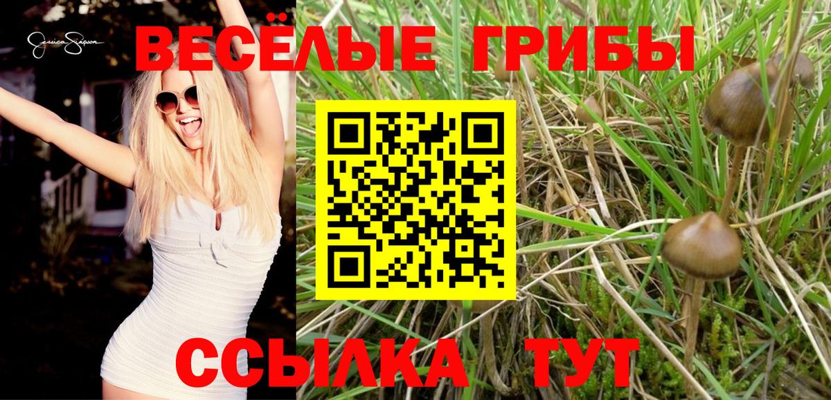 Галлюциногенные грибы Magic Shrooms Ливны